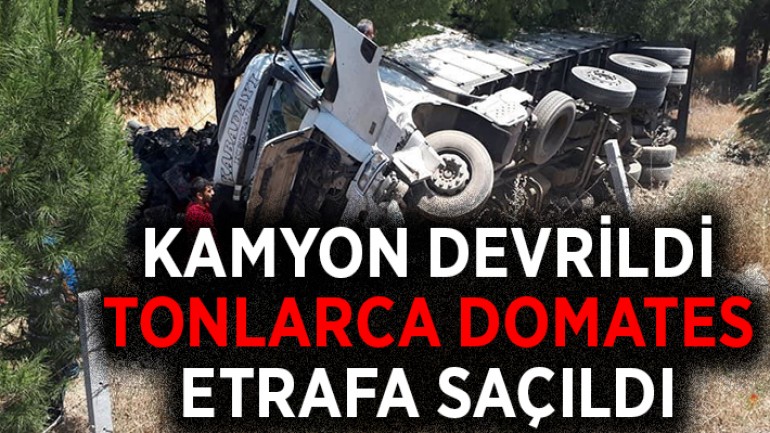 Denizli’de şarampole devrilen kamyondaki