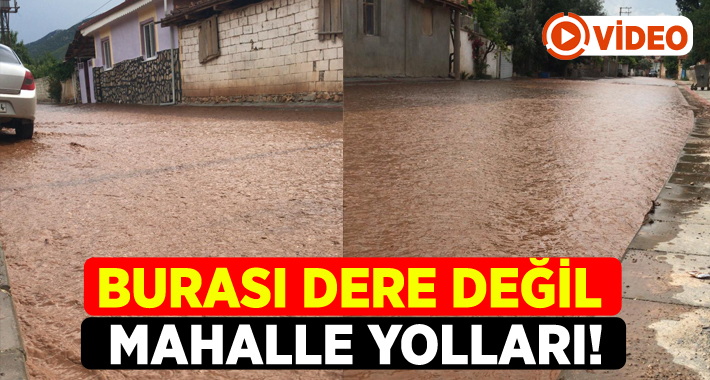 Denizli’nin Tavas ilçesinde dağa