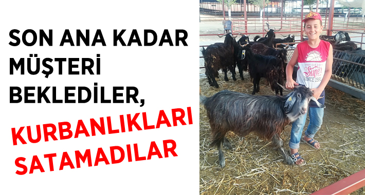 Aydın’da bu yıl kurbanlık