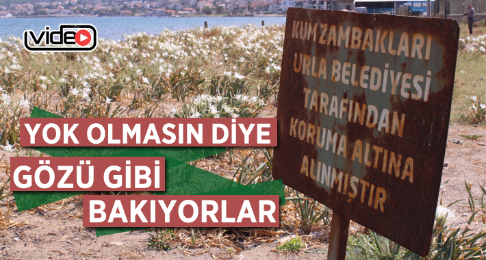 İzmir'in Urla ilçesinde yaşayan