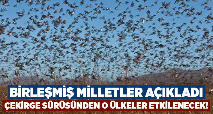 Birleşmiş Milletler, Doğu Afrika