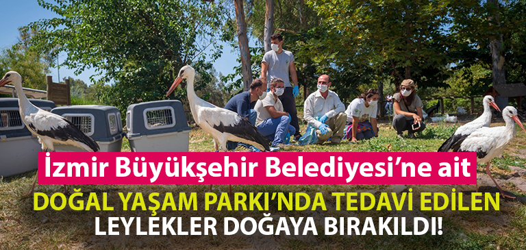  İzmir’de yaralı halde