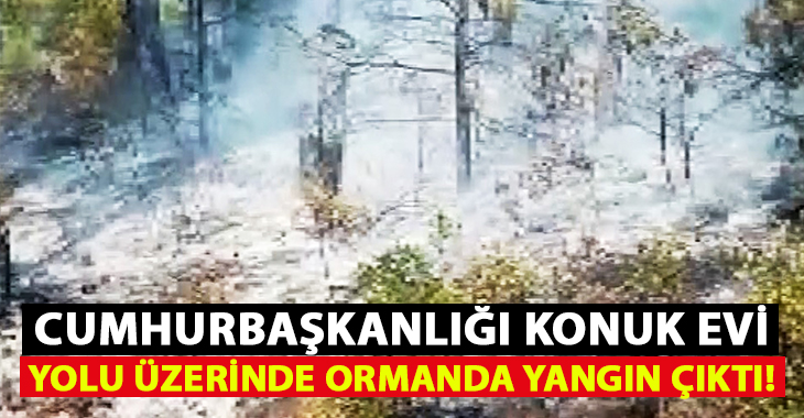 Marmaris Karacasöğüt Mahallesi'nde Cumhurbaşkanlığı