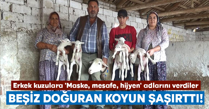 Manisa’nın Salihli ilçesinde bir