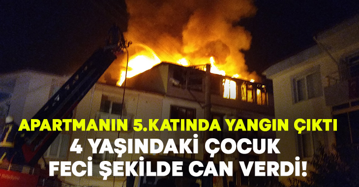  Kütahya’nın Gediz ilçesinde