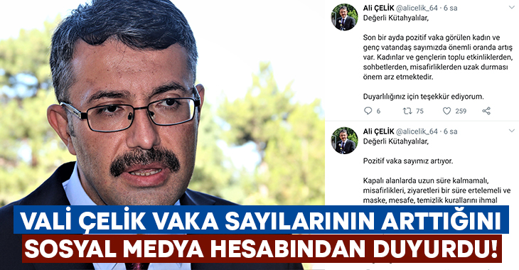 Kütahya Valisi Ali Çelik,