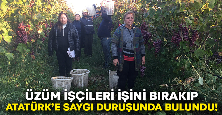  Manisa'nın Alaşehir ilçesinde