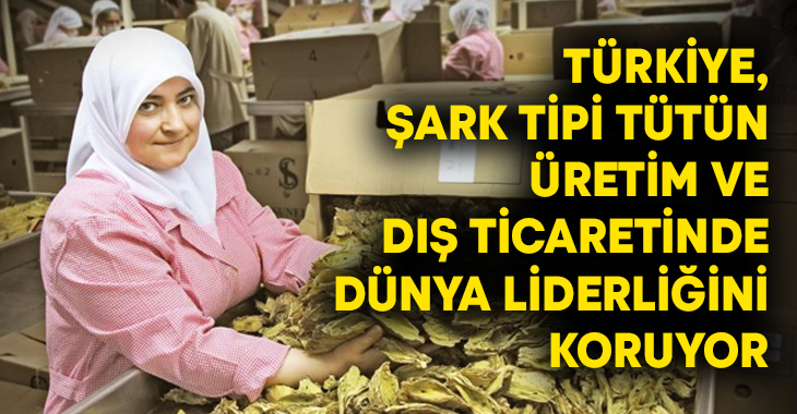 Dünya tütün üretiminde 15.