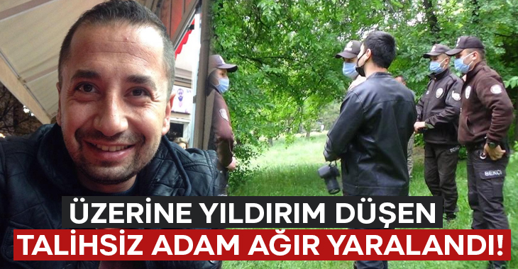 Kütahya’da parkta bir ağacın