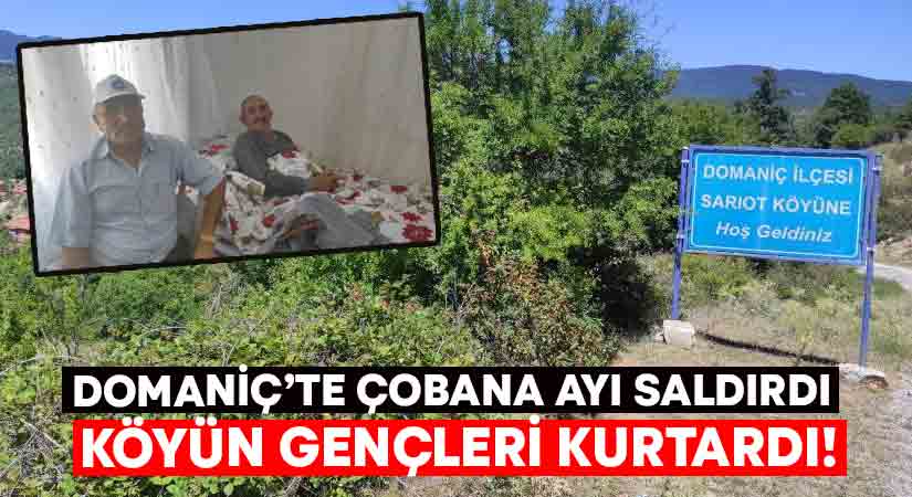 Kütahya’nın Domaniç ilçesine bağlı