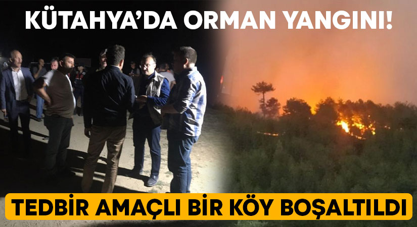 Kütahya'nın Emet ilçesindeki orman