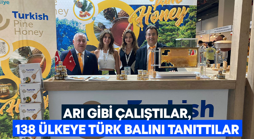 Çam balı üretiminde dünya