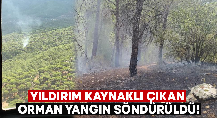 Muğla'nın Yatağan ilçesinde yıldırım