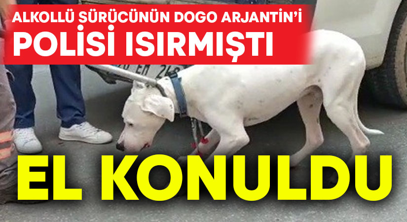 Denizli’de alkollü sürücünün engel