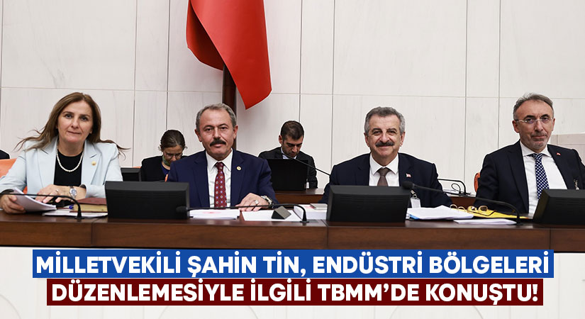 AK Parti Denizli Milletvekili