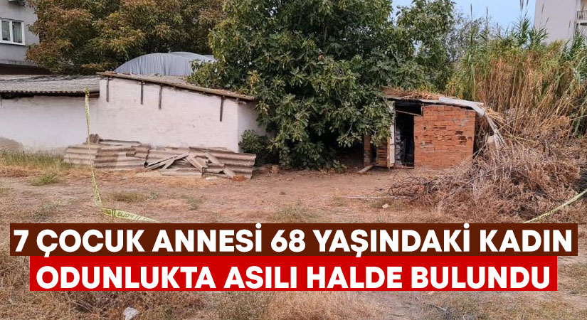 Aydın'ın Nazilli ilçesinde 7