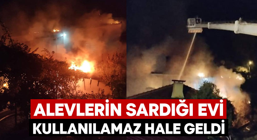 Denizli'nin Çameli ilçesinde alevlerin