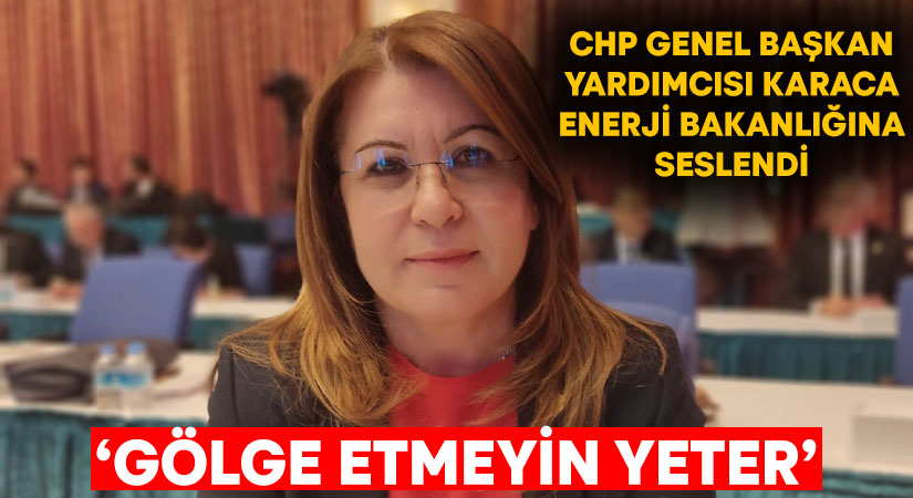 TBMM Plan ve Bütçe