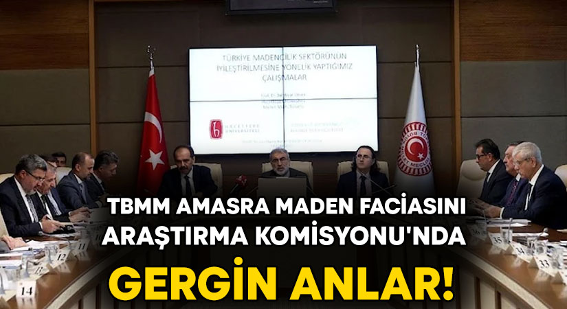 TBMM Amasra Maden Faciasını