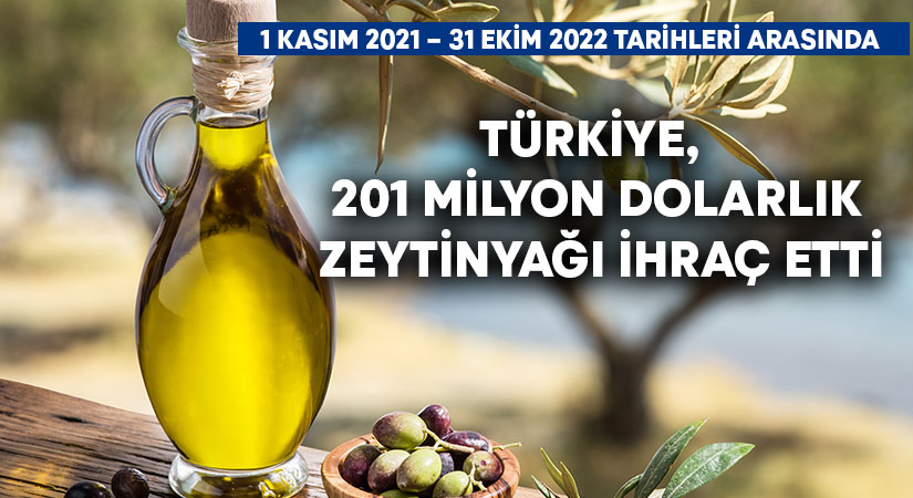 Türkiye, 1 Kasım 2021