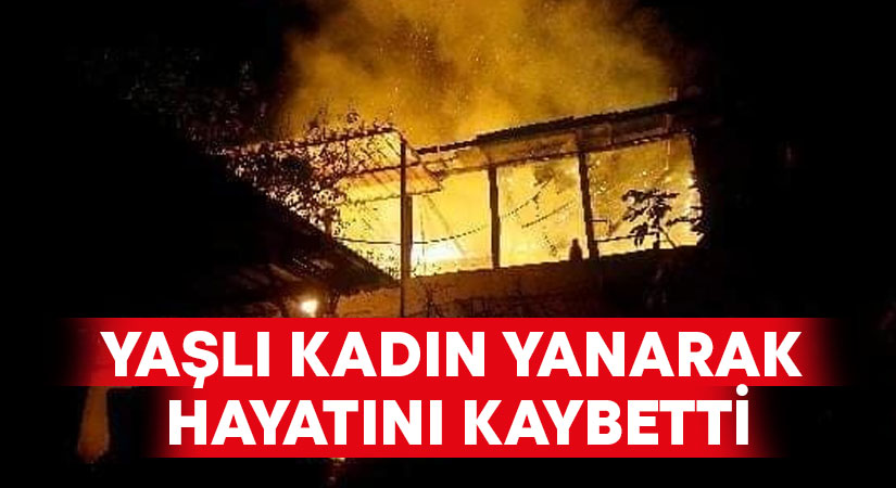 Aydın'ın Köşk ilçesinde çıkan