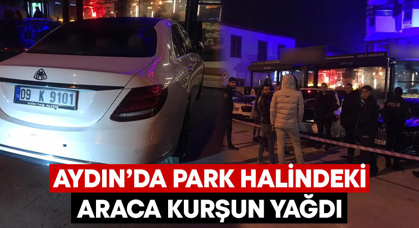 Aydın’ın Kuşadası ilçesinde park