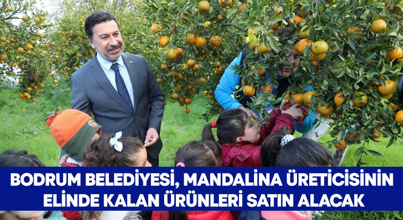 Bodrum Belediyesi mandalina üreticilerinin