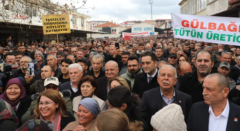 Tütünlerini maliyetin altında satmak