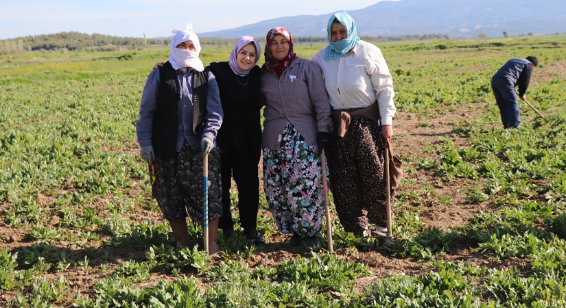 CHP Denizli Milletvekili Adayı