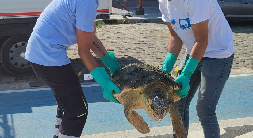 İzmir Büyükşehir Belediyesi Deniz