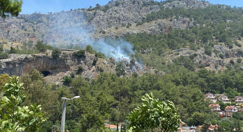 Muğla'nın Fethiye ilçesinde çıkan