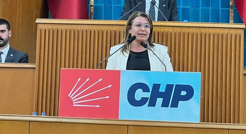 CHP Denizli Milletvekili Gülizar