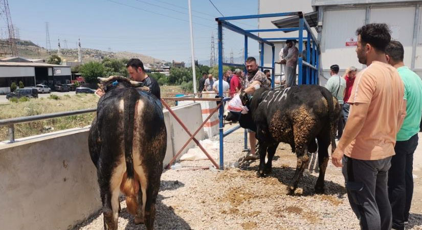 İzmir'de Kurban Bayramı'nın ilk