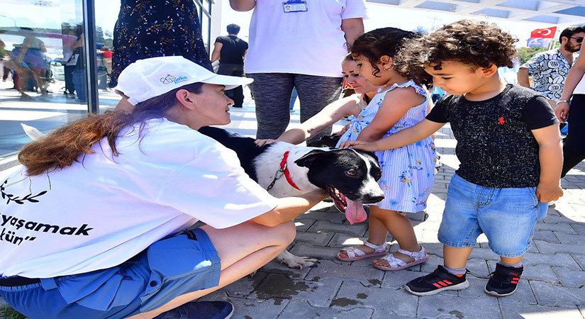 İzmir Büyükşehir Belediyesi, hayvanseverlerle