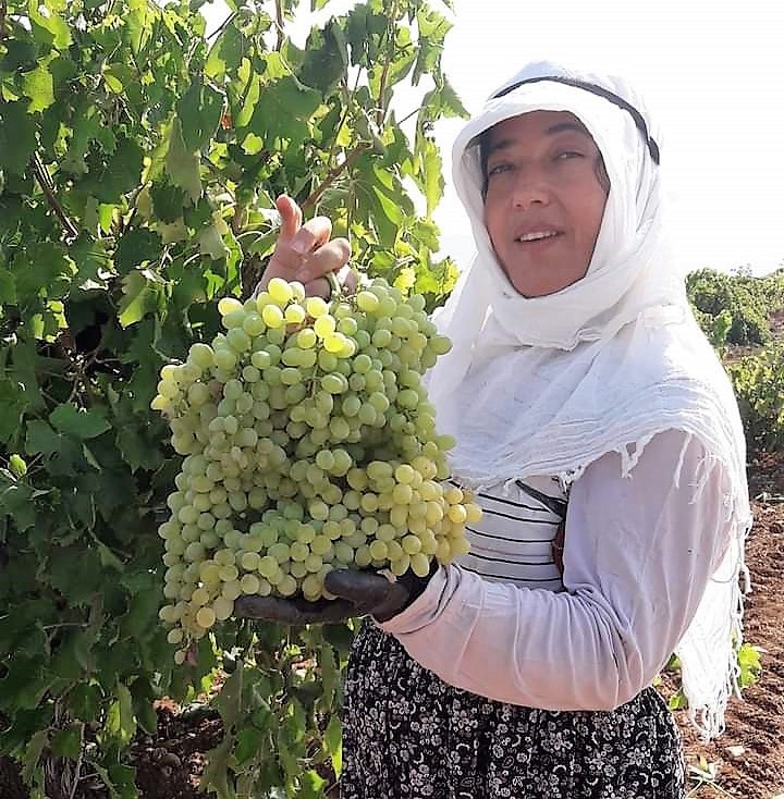 Denizli’nin Çal ilçesinde, yakın