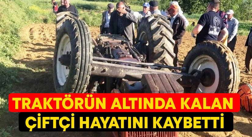 Kütahya’nın Simav ilçesinde tarlada