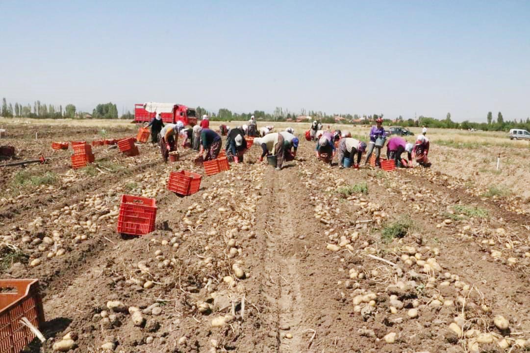 Afyonkarahisar’ın Sandıklı ilçesinde 40