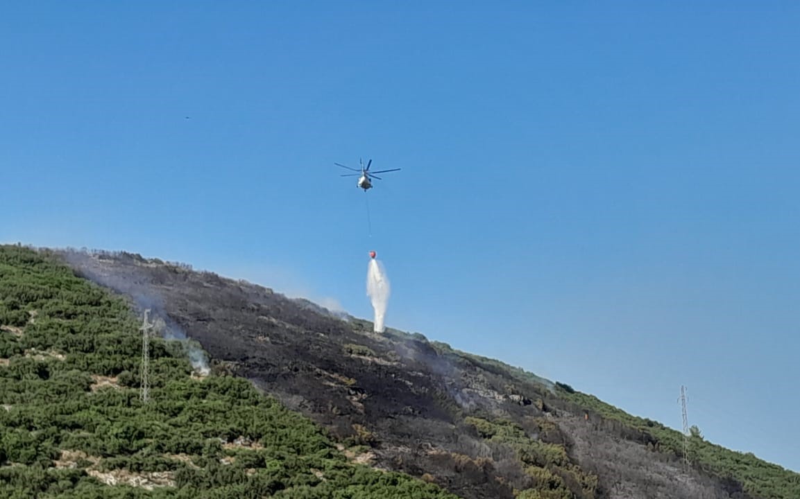 Muğla’da zirai alanda çıkan,