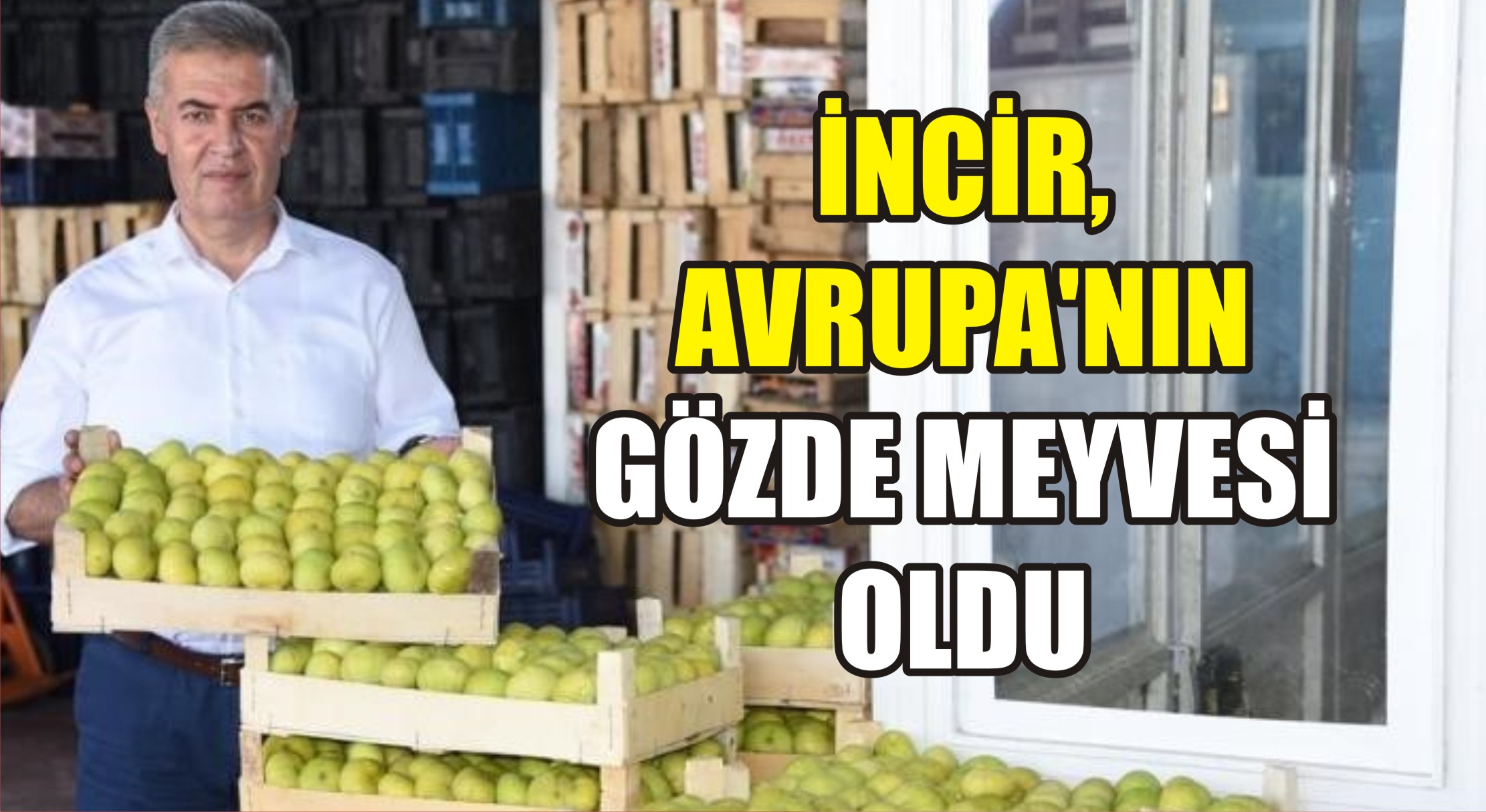 Aydın’ın milli ürünü incirin