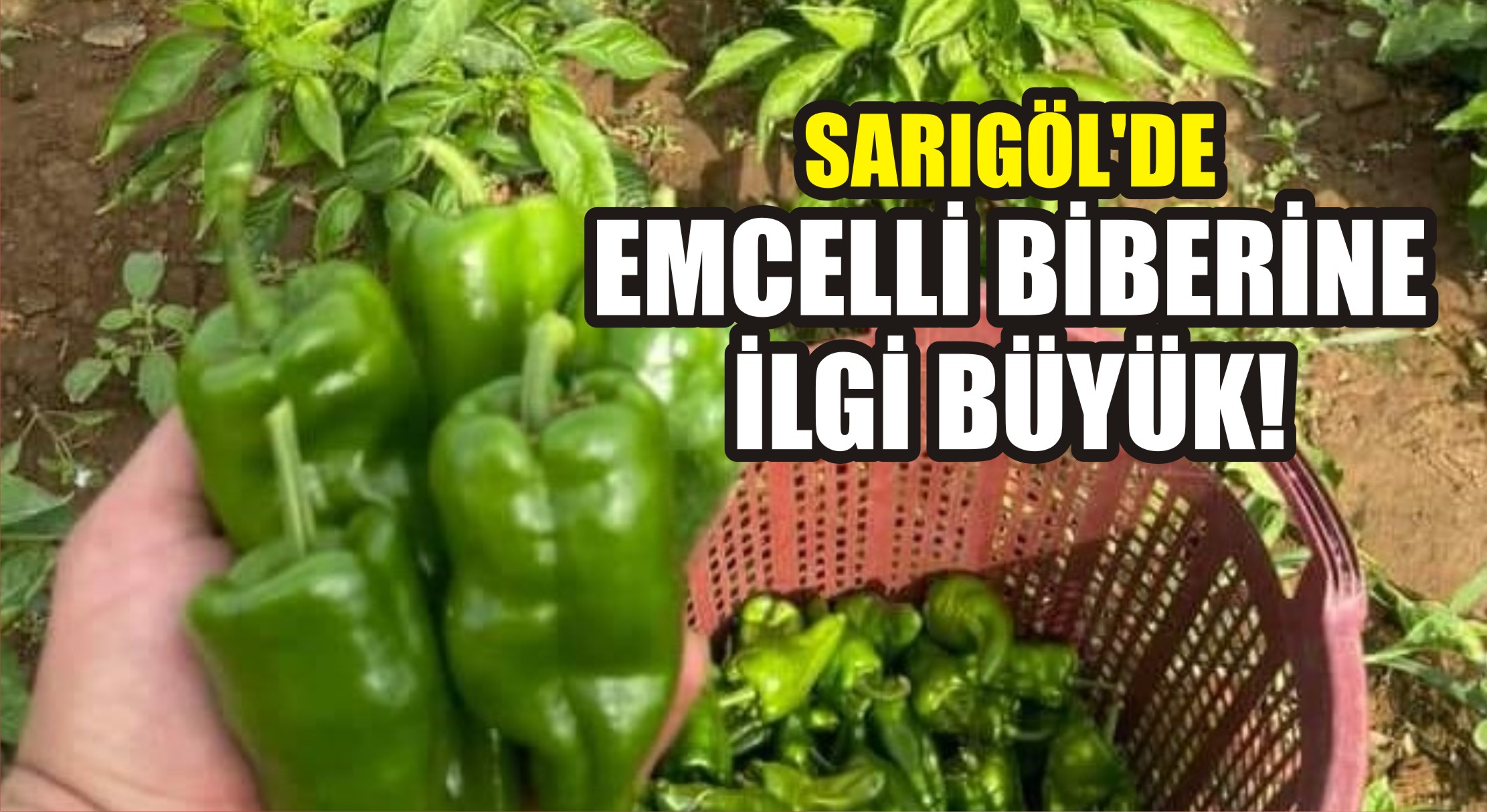 Manisa’nın Sarıgöl ilçesi Emcelli