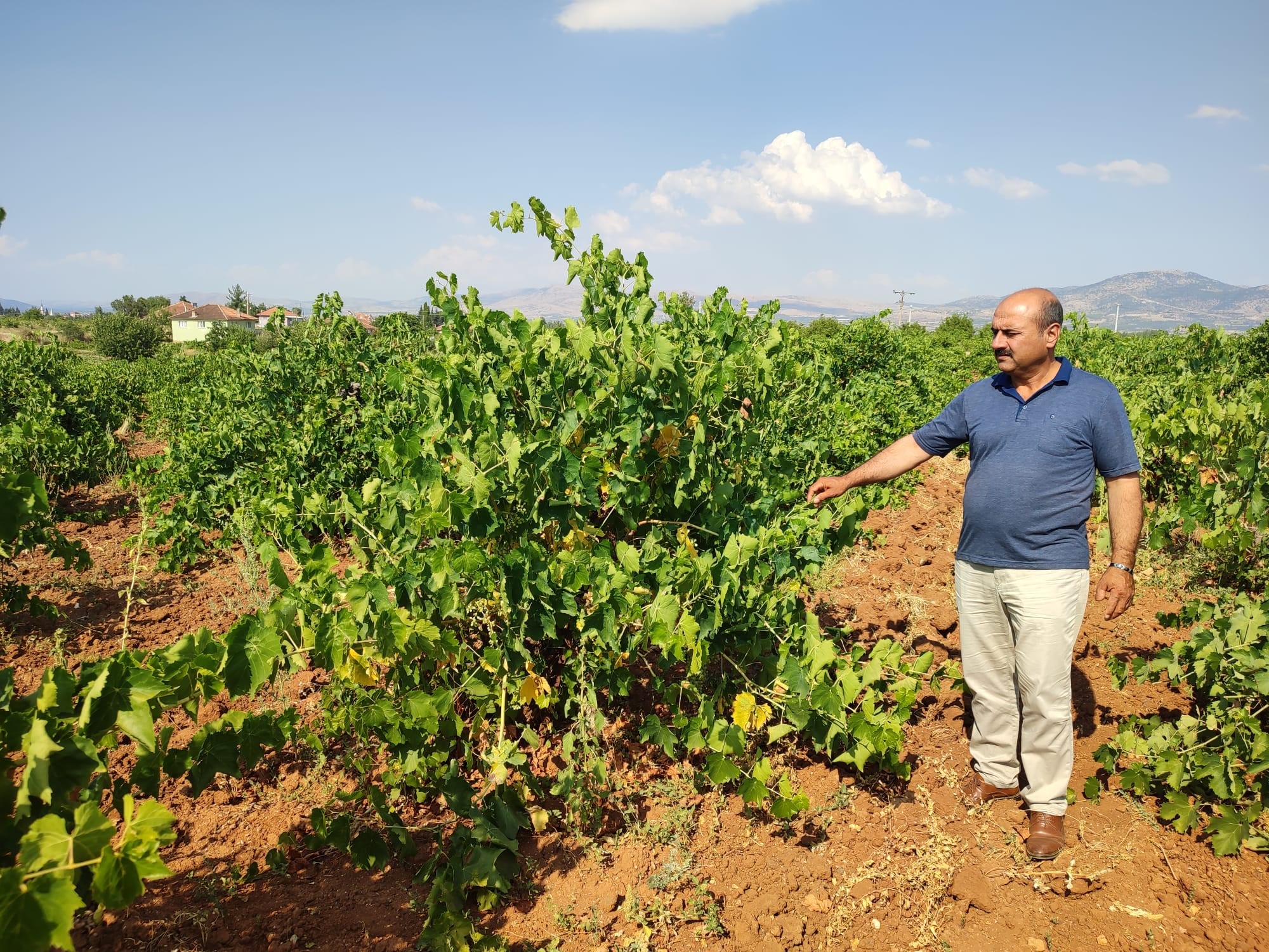 Denizli’nin Çal ilçesinde coğrafi