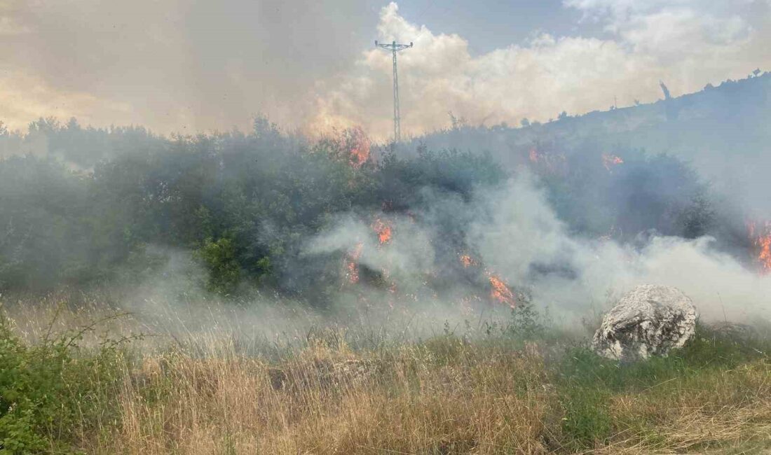 DENİZLİ VALİLİĞİ, BUGÜN 6