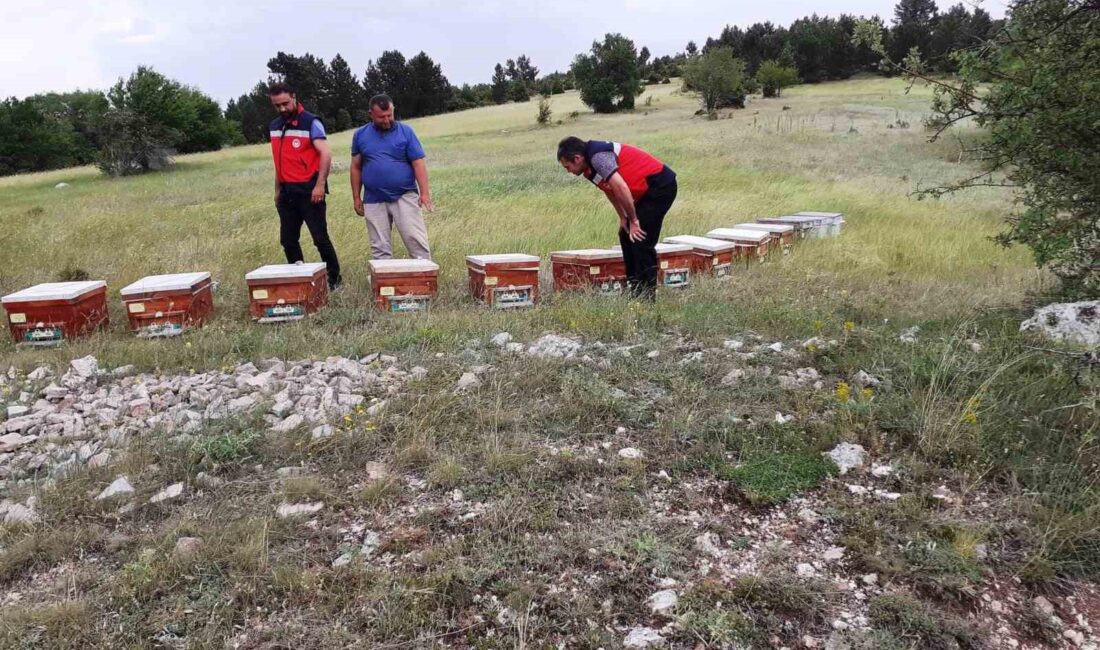 EMET’TE AYILAR TARAFINDAN KOVANLARI