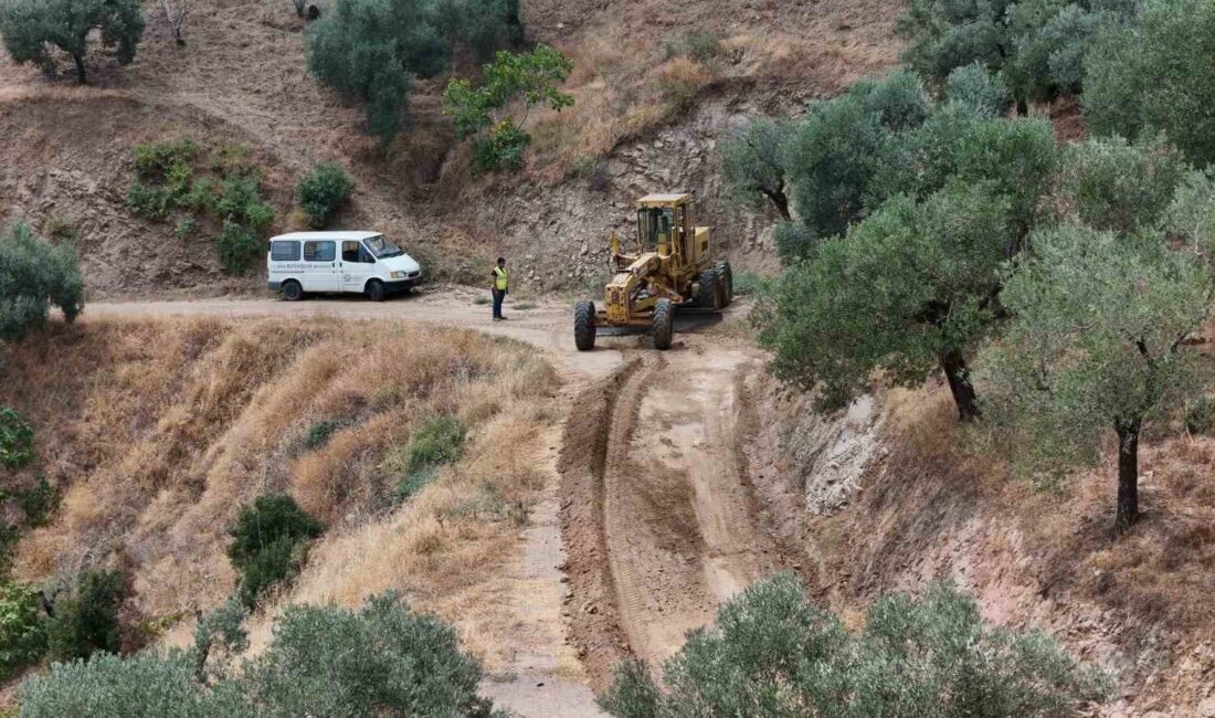 Aydın genelinde yol yapım,