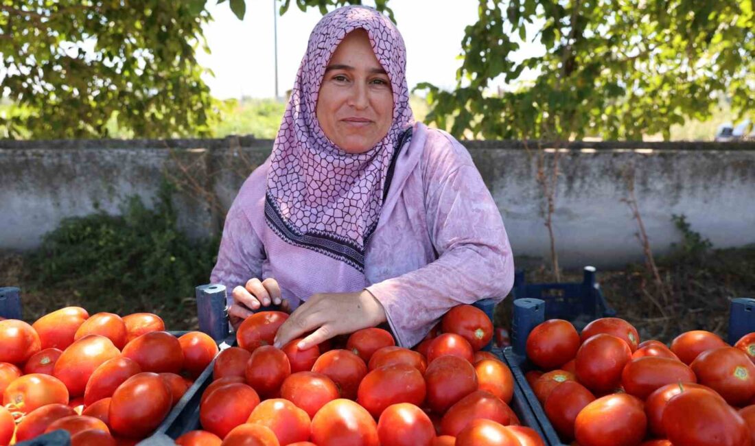 BÖLGENİN ÖNDE GELEN ÜRETİCİLERİNDEN