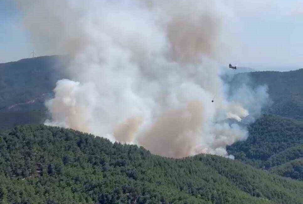 İzmir’in Bergama ilçesinde çıkan