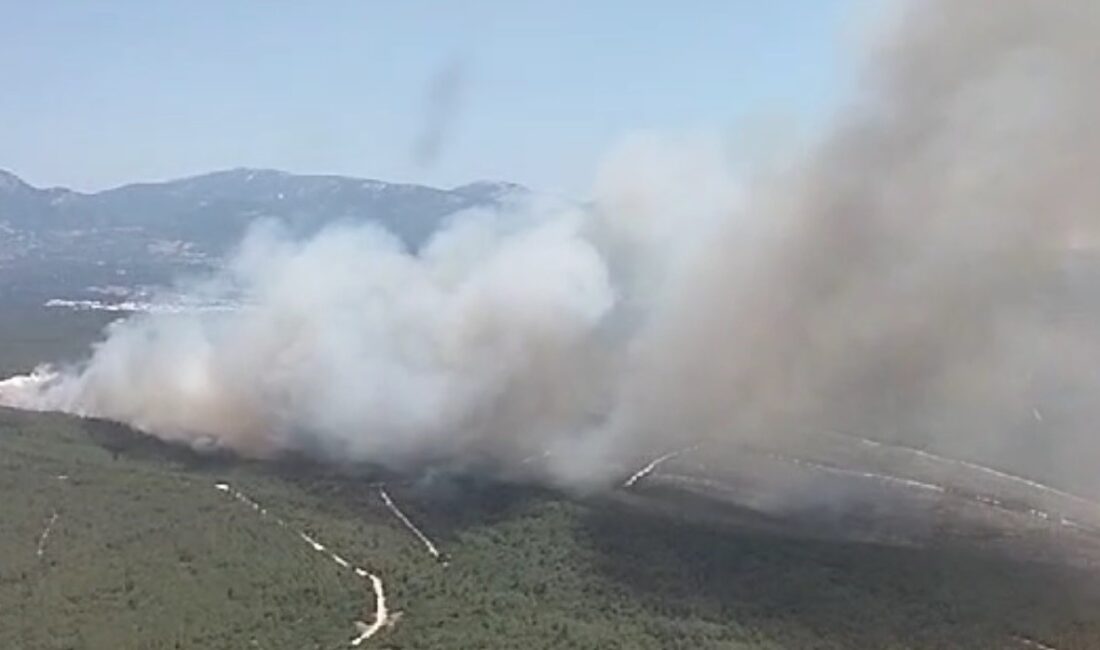 İzmir'in Buca ilçesinde çıkan