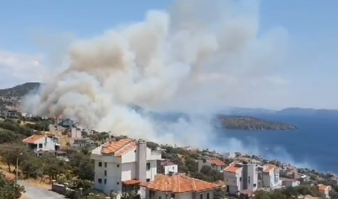  İzmir'in Dikili ilçesinde