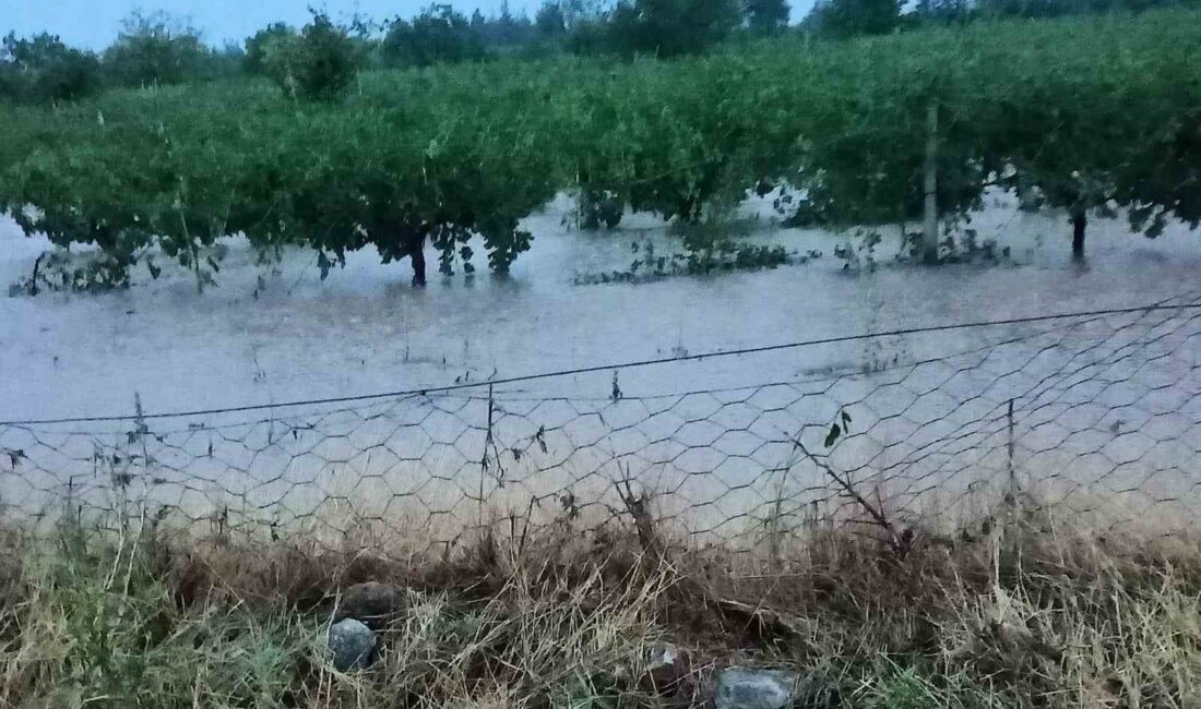 Denizli'de akşam saatlerinde etkili