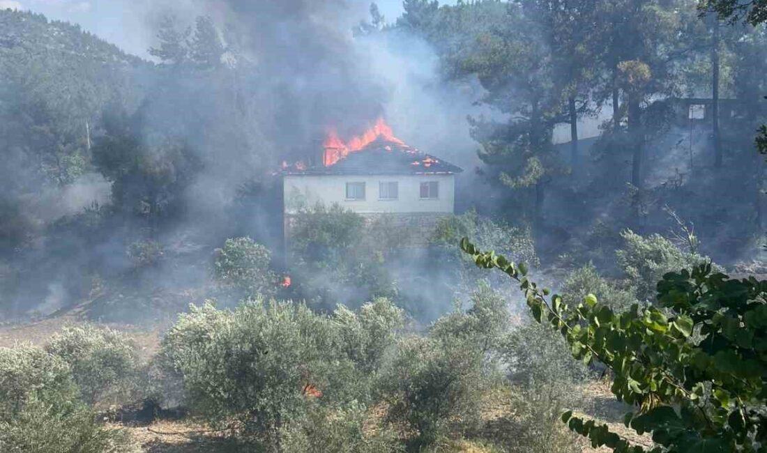 MUĞLA'NIN KÖYCEĞİZ İLÇESİNDE BİR